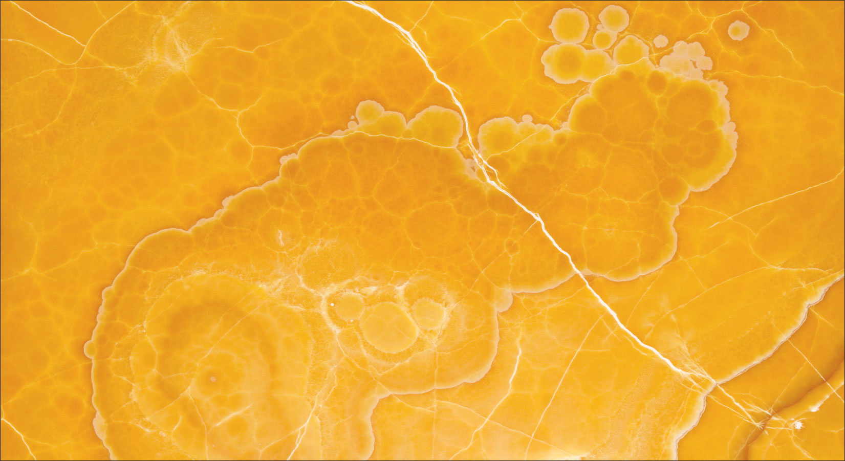 Yellow Travertine | Premium Travertine Collection - Stone Emporium